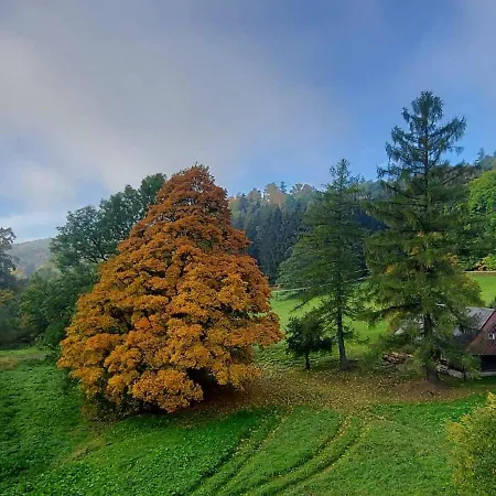 Homestay Krupicka Mala Moravka
